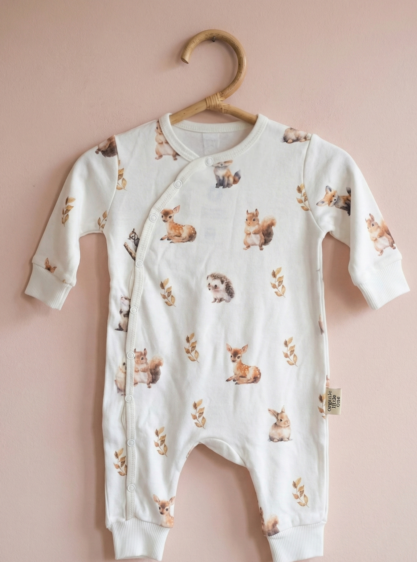 Little Woodland Animals Baby Sleepsuit