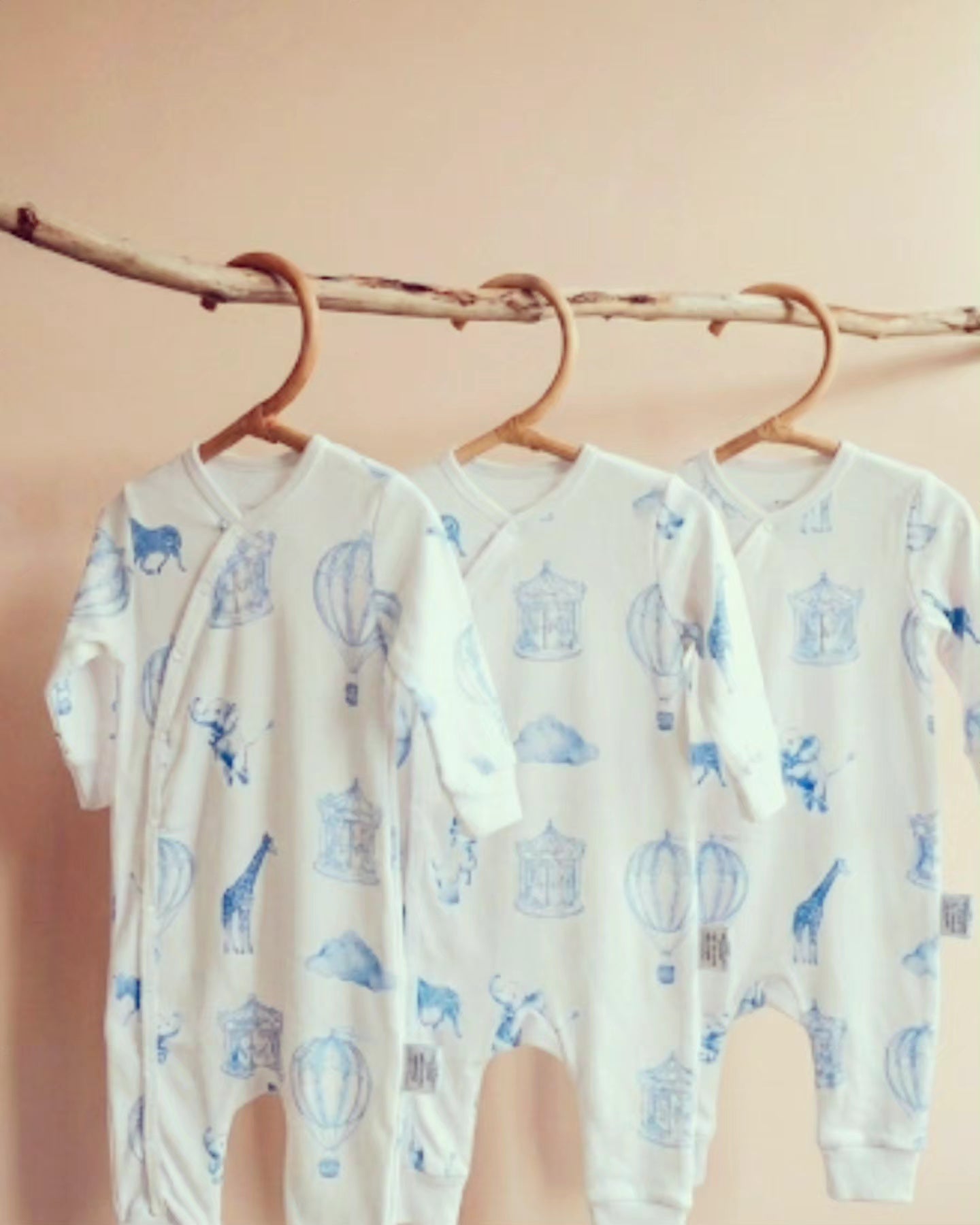 Hot Air Balloon & Animal Friends Organic Sleepsuit -Blue